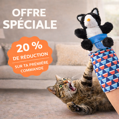Marionnette de jeu pour chat