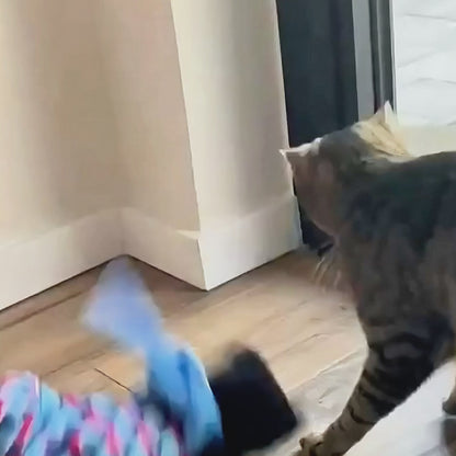 Marionnette de jeu pour chat